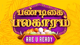 24-11-2024 Pandigai Palagaram Are U Ready-Vijay tv Show